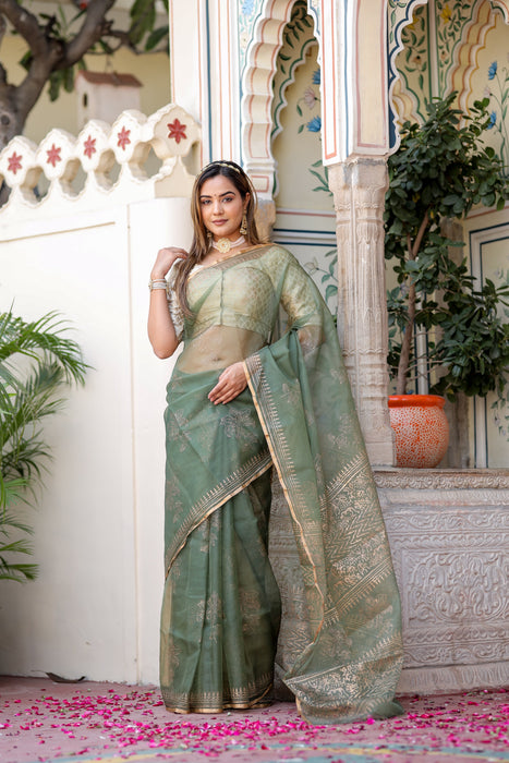 Golden Veil Organza Saree (Foil work Organza Green and Golden Saree)