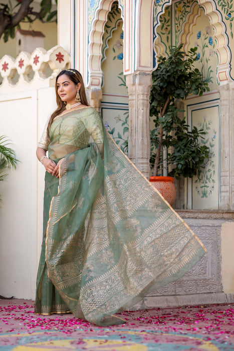 Golden Veil Organza Saree (Foil work Organza Green and Golden Saree)