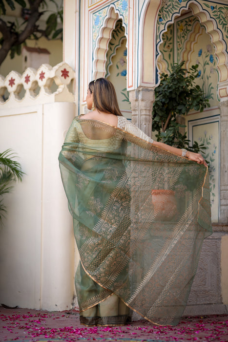 Golden Veil Organza Saree (Foil work Organza Green and Golden Saree)