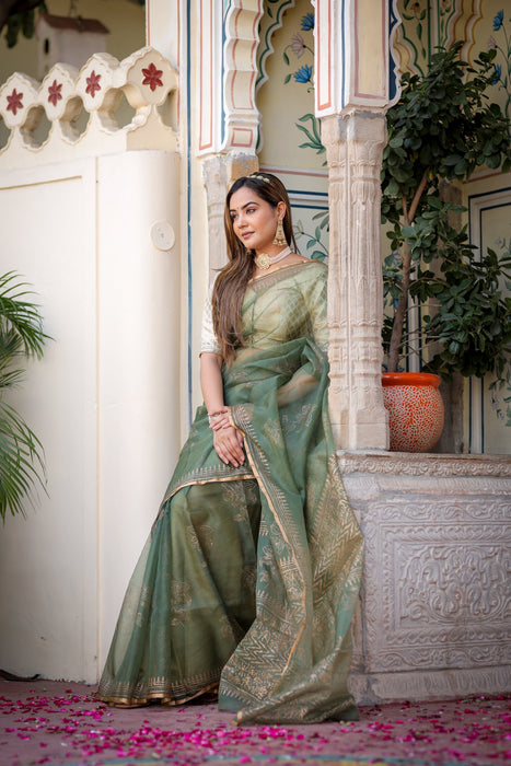 Golden Veil Organza Saree (Foil work Organza Green and Golden Saree)