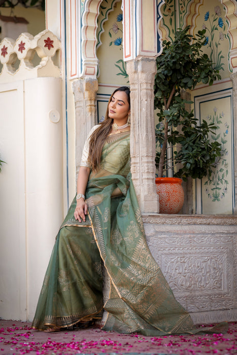 Golden Veil Organza Saree (Foil work Organza Green and Golden Saree)