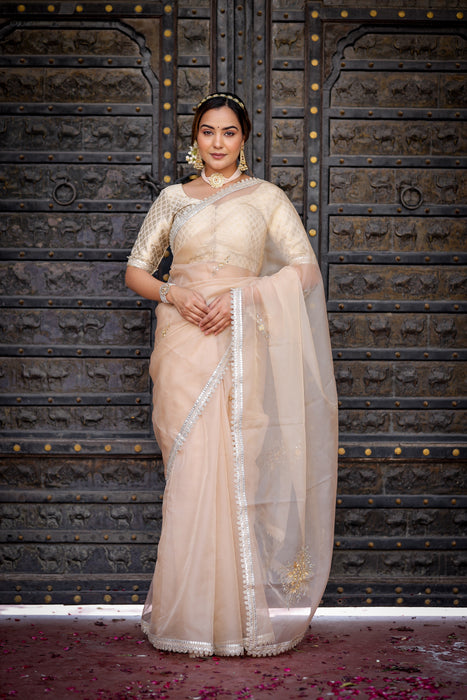 Beige Symphony Elegance Saree (Hand Embroidered Beige Organza Saree)