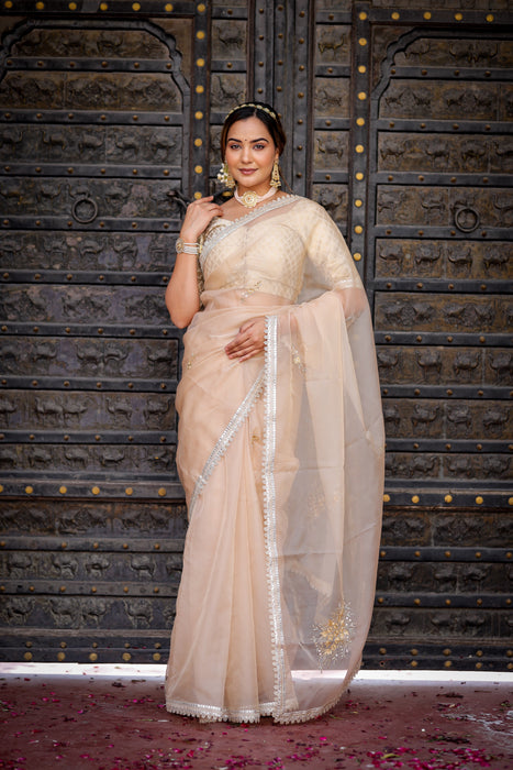 Beige Symphony Elegance Saree (Hand Embroidered Beige Organza Saree)