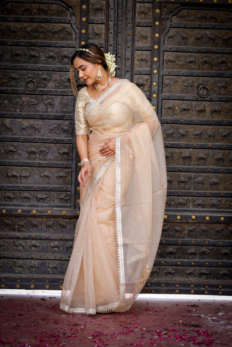 Beige Symphony Elegance Saree (Hand Embroidered Beige Organza Saree)