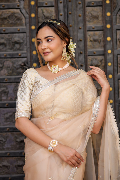 Beige Symphony Elegance Saree (Hand Embroidered Beige Organza Saree)