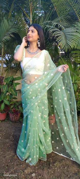 Emerald Enchantment (Embroidered Buttis Organza Pastel Green Saree)