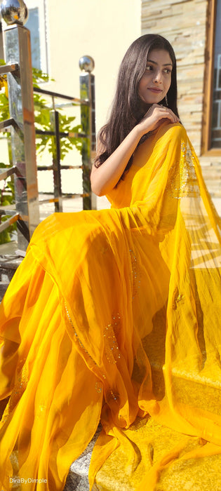 Buttercup Voile (Hand Embroidered Chiffon Saree)