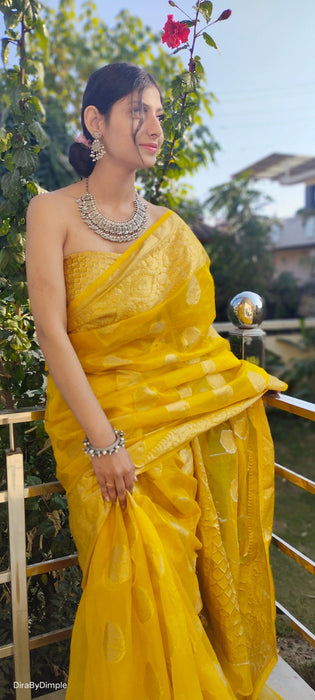 Royal Radiance (Banarasi Silk Organza Saree in Mustard Yellow)