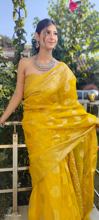 Royal Radiance (Banarasi Silk Organza Saree in Mustard Yellow)