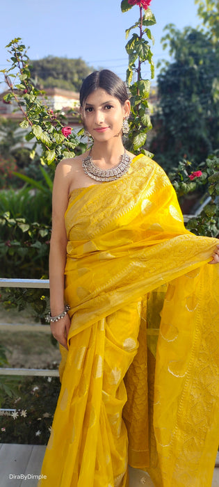 Royal Radiance (Banarasi Silk Organza Saree in Mustard Yellow)