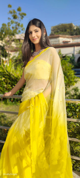 Lemonade Breeze (Chiffon Saree with Mirror Handwork)