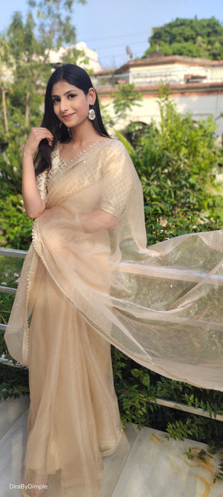 Lustrous Royalty (Organza Saree with Lave border)