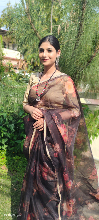 Dreamy Pop (Printed Black Organza Lace Border Saree)