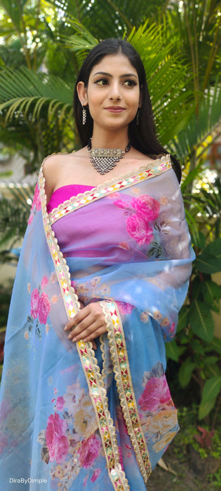 Whimsical Wonder (Printed Organza Saree)