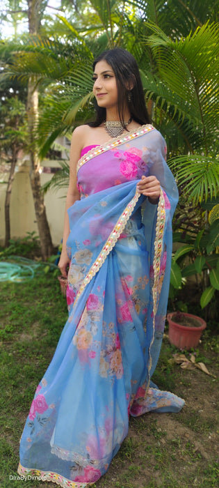 Whimsical Wonder (Printed Organza Saree)