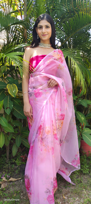 Serene Whisper (Printed Organza Saree)