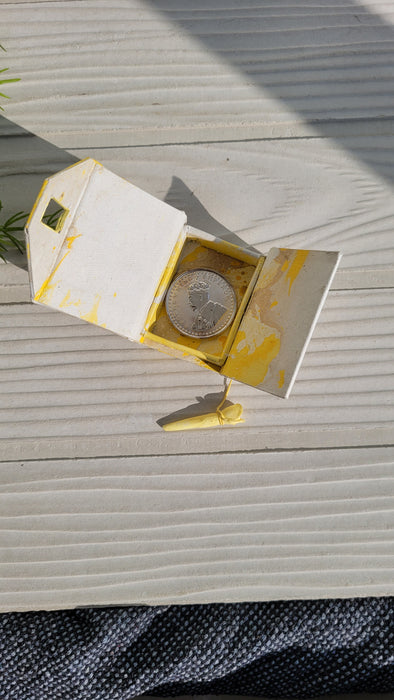 Sun Teddy Coin Box