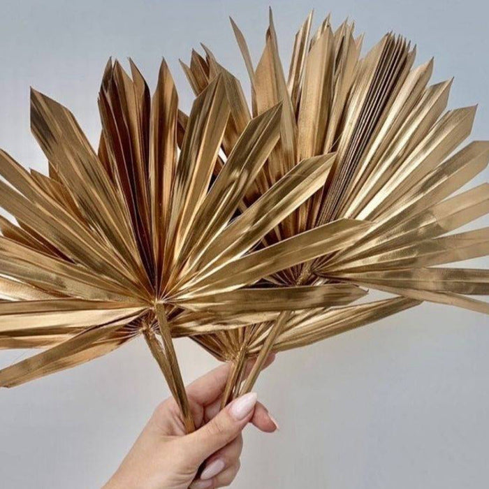 Fan palm spear golden-set of 10