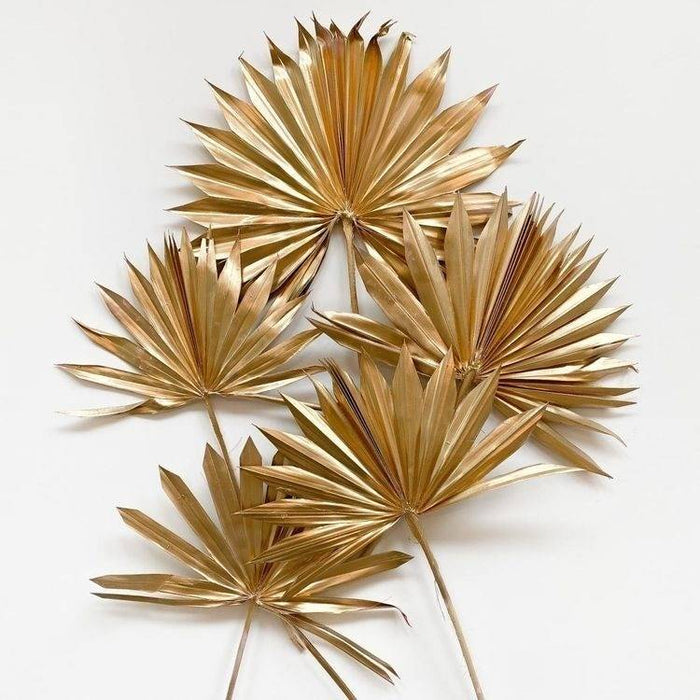 Fan palm spear golden-set of 10