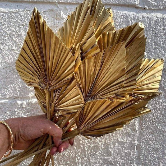 palm spear cut golden-set of 10