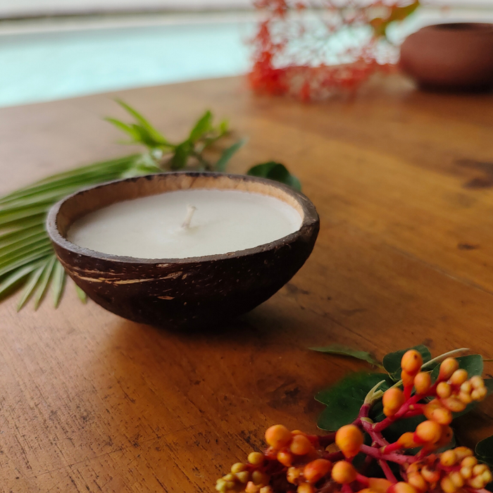 Upcycled Coconut Shell Soy Wax Candle | Sustainable Luxury Home Decor