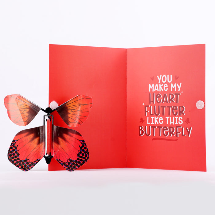 Aww-dorable Butterfly Card