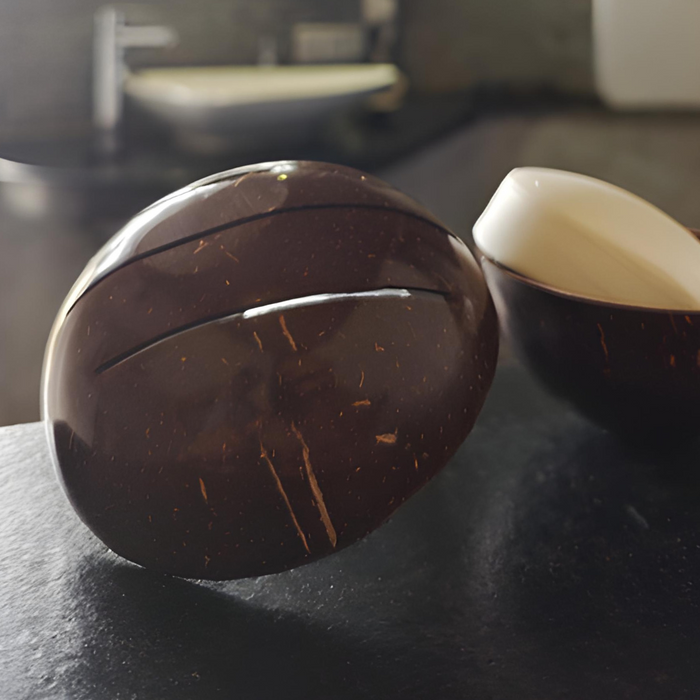 Natural Coconut Shell Soap Dish Set of 2 | Eco-Friendly Bathroom Accessories