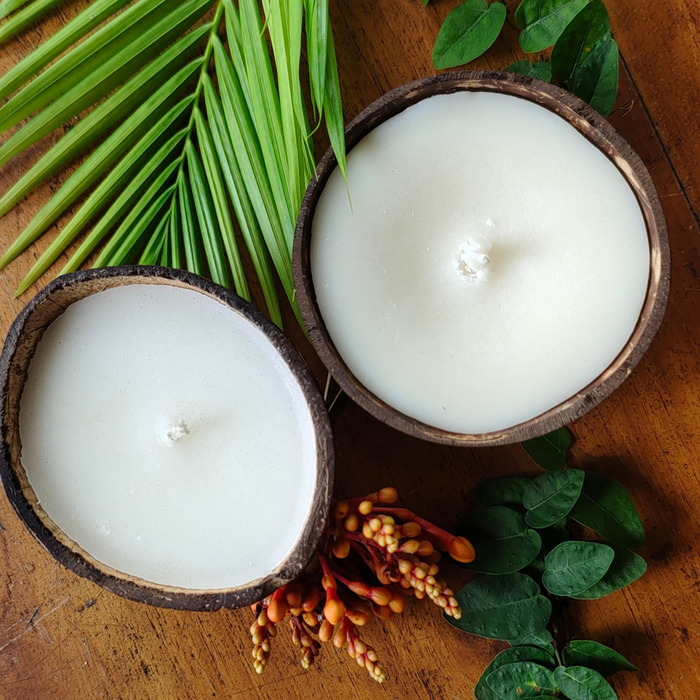 Upcycled Coconut Shell Soy Wax Candle | Sustainable Luxury Home Decor