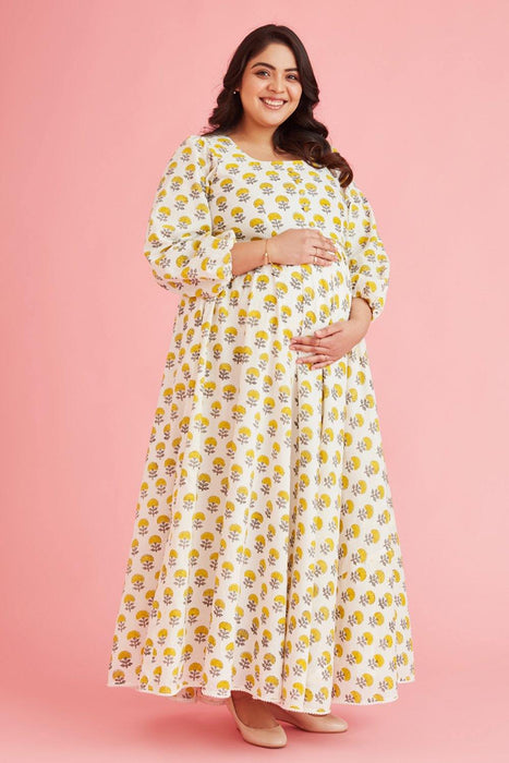 Anvi Nursing & Maternity Fit N Flare Maxi Dress