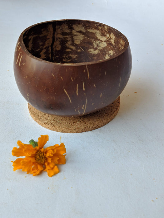 Coconut Bowl