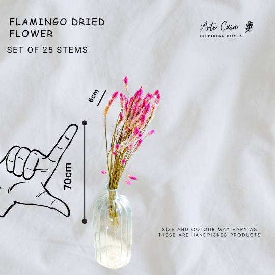 flamingo dried flower set of 25