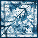 Square scarf crafted in Blue and White color with wild misty print of leaves and rain drops, with two solid color borders.