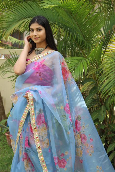 Whimsical Wonder (Printed Organza Saree)