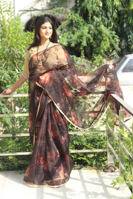 Dreamy Pop (Printed Black Organza Lace Border Saree)