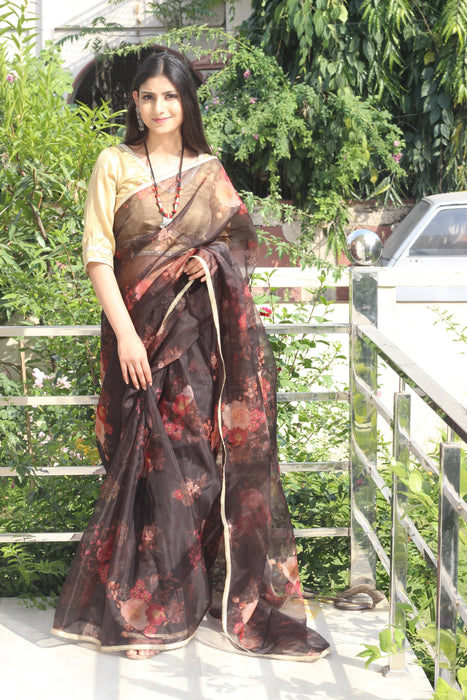 Dreamy Pop (Printed Black Organza Lace Border Saree)