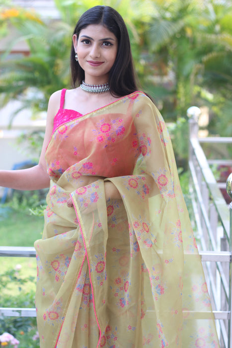 Enchanted Forest (Printed Organza Saree)