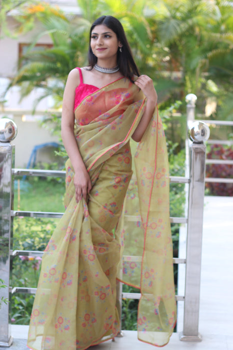 Enchanted Forest (Printed Organza Saree)