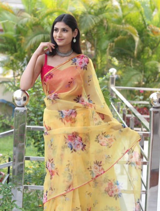 Pastel Harmony (Printed Organza Saree)