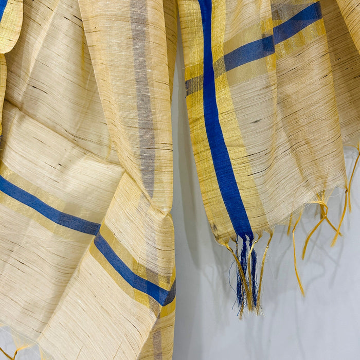 INDIGO BORDER GHICHA DUPATTA