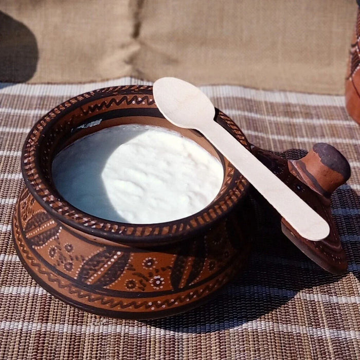 Kutch Painted Pottery Dahi-Handi