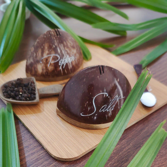 Coconut Shell Salt & Pepper Shakers/ Dispenser Set