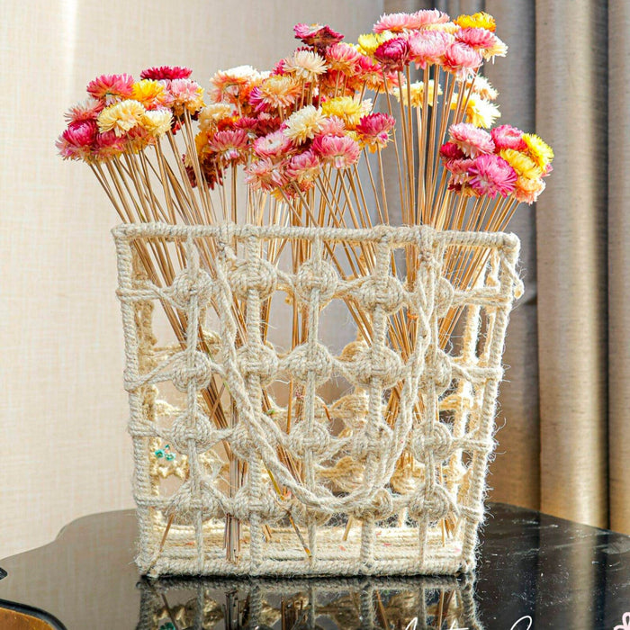 Straw flower-set of 20 stems