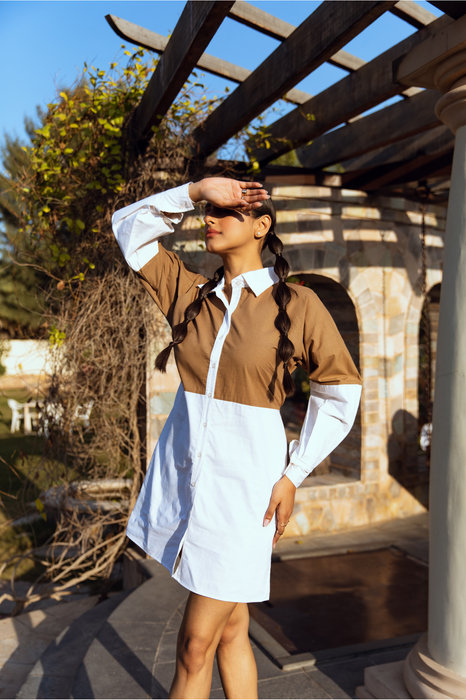 Truffle Shirt Dress