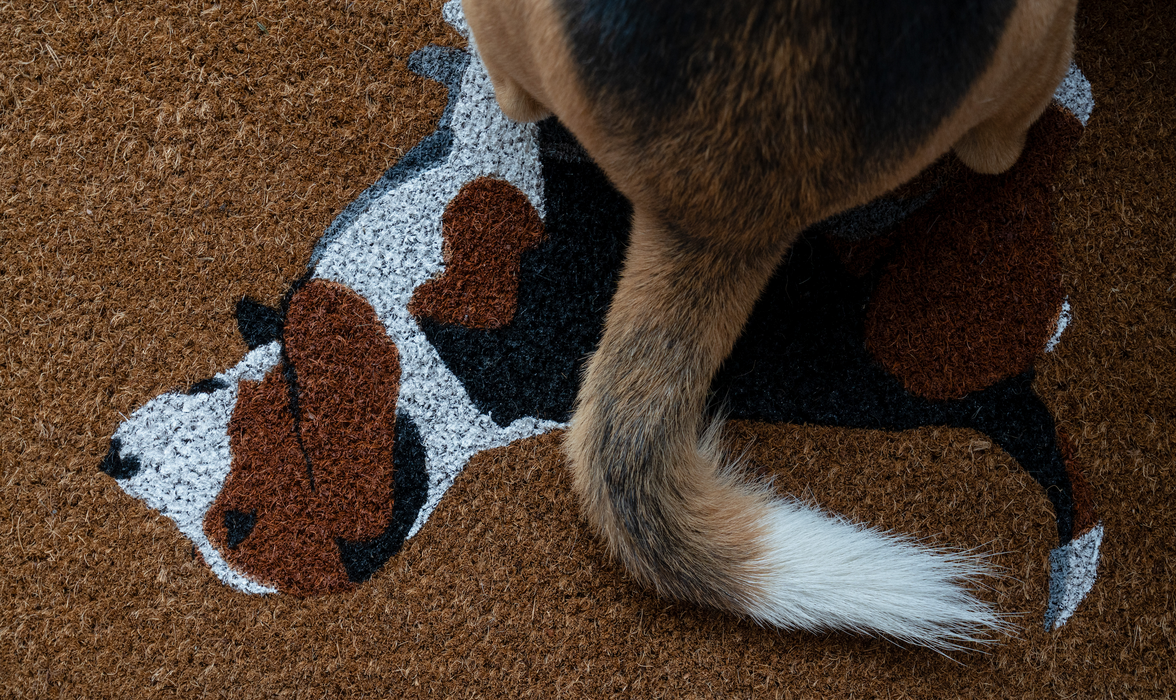 Dog-Lover's Welcome Mat