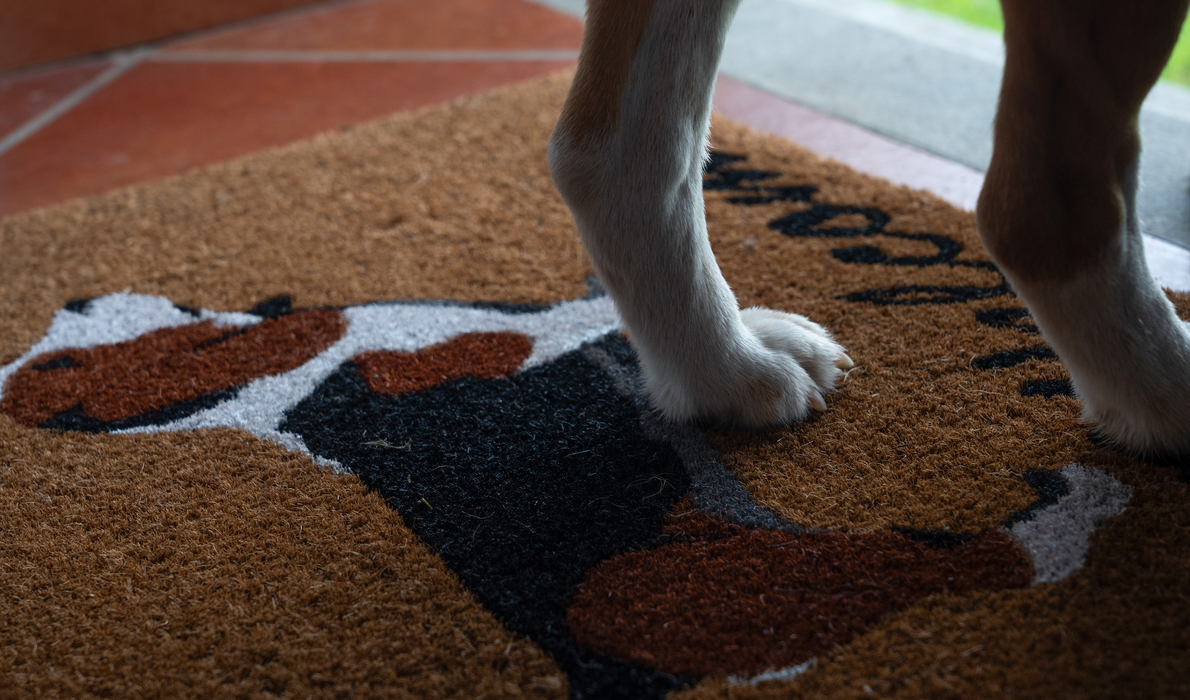 Dog-Lover's Welcome Mat