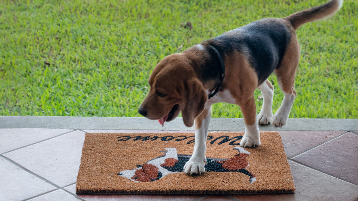 Dog-Lover's Welcome Mat