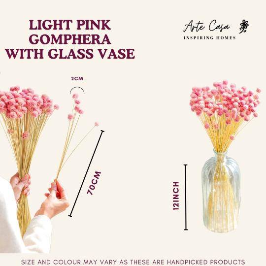 Gomphera with Crystal Glass vase-Light Pink