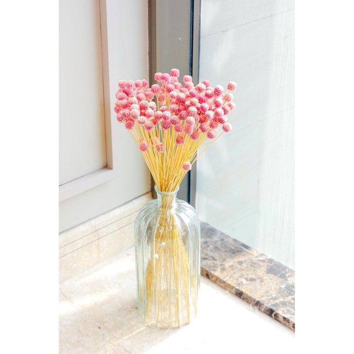 Gomphera set of 25 stems -Light pink