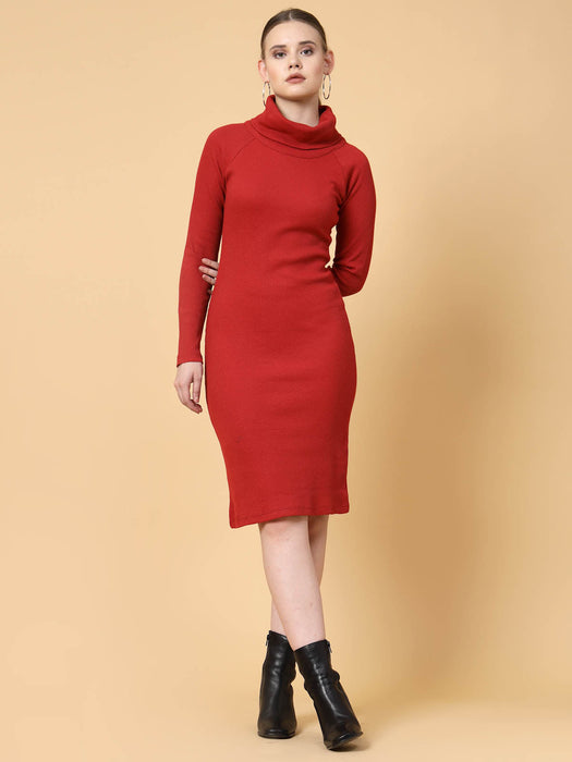 Turtle Neck Bodycon Dress