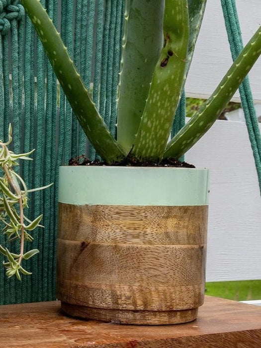 Light & Dark Green Planter Combo